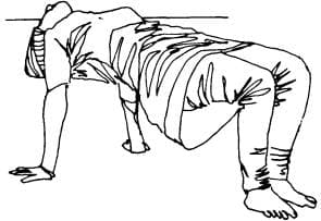 Pose 2, view 2