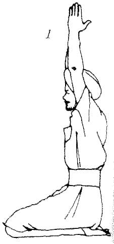 Pose 1