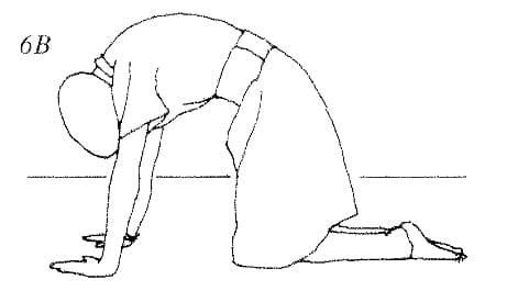 Pose 6, view 2
