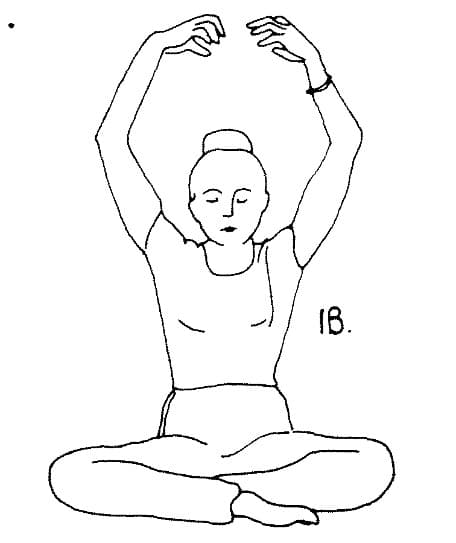 Pose 1, view 2