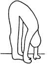 Pose 6
