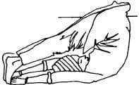 Pose 10