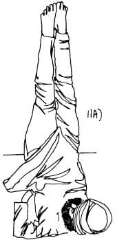 Pose 10, view 2