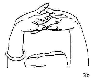 Pose 3, view 2