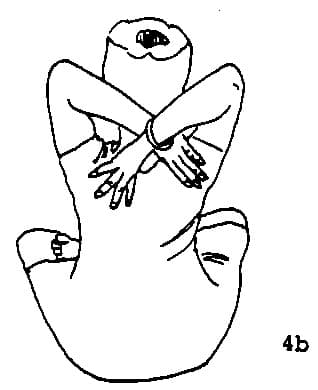 Pose 4, view 2