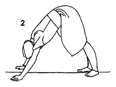 Pose 2