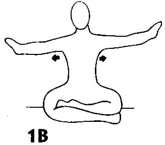 Pose 1, view 2