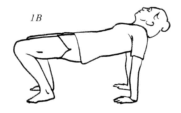 Pose 1, view 2