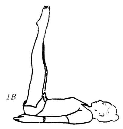 Pose 5, view 2