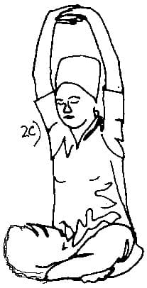 Pose 2, view 3