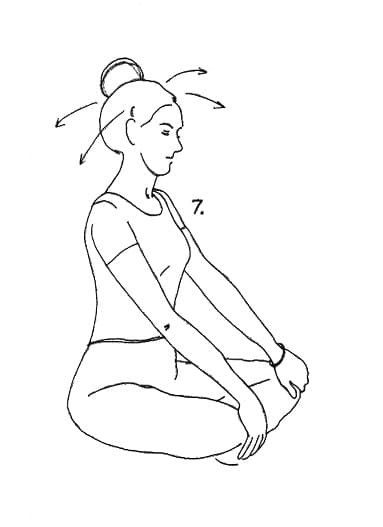 Pose 7