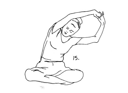 Pose 15