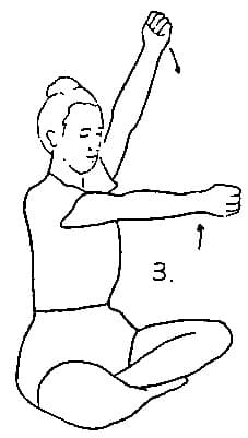 Pose 3
