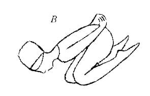 Pose 1, view 2