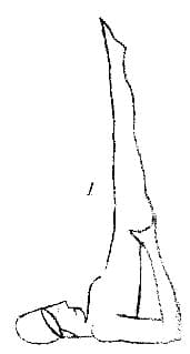 Pose 2